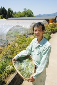 定期便 3回 大和当帰 入浴剤 計50包 （ 1袋 5包入り × 10個 ) ／ ウェルネスフーズUDA ふるさと納税 無添加 有機栽培 ハーブ バス用品 風呂 奈良県 宇陀市