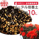 【ふるさと納税】サボテン・多肉植物専用 メーデル培養土 10L A150-13 / 家庭菜園 ベランダ菜園 プランター 園芸 サボテン さぼてん 多肉植物 ガーデニング 土 用土 植物専用 バーク堆肥 培養土 バーク堆肥粒状化物 鹿沼土 軽石 パーライト 有用微生物 微量要素 肥料 MB