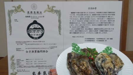 多度津町産 白方かき 焼き小屋さと自家製　かきの佃煮・かきのオイル漬け詰め合わせ【令和9年1月頃から4月頃までの期間限定出荷】【L-29】 