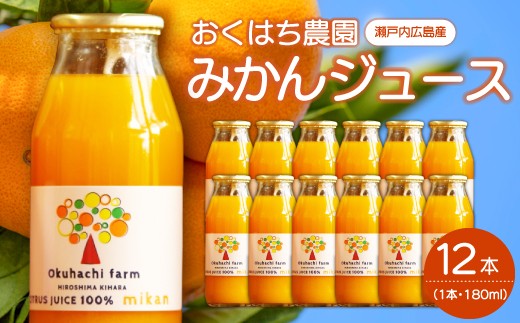 みかんジュース（180mlｘ12本）栽培期間中 防腐剤 ワックス 不使用 おくはち農園 旬 柑橘 かんきつ フルーツ 果物 ジュース ドリンク 無添加 手絞り 瀬戸内  166017