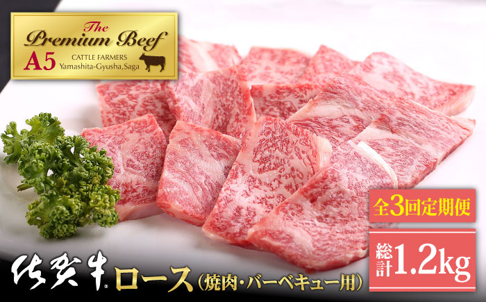 
【全3回定期便】佐賀牛 ロース 400g ( 焼肉用 ) 【山下牛舎】 [HAD093]
