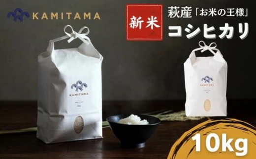
                  コシヒカリ 令和7年 10kg 米 コメ こめ 萩産 KAMITAMA
                