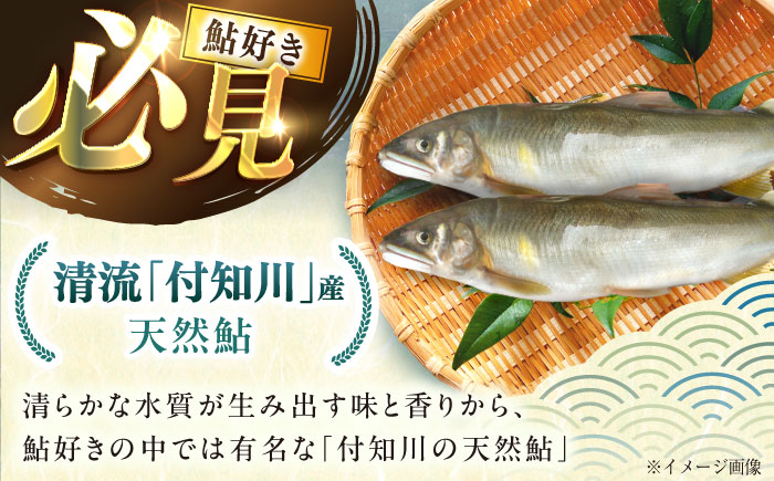 天然あゆの一夜干し 中 3匹セット / あゆ 天然 鮎 / 恵那市 / 恵那物産館 [AUFS001]