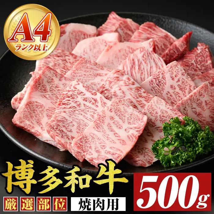 【A4～A5】博多和牛焼肉用(500g) 国産 九州産 福岡県産 牛肉 和牛 黒毛和牛 やきにく お肉【MEAT PLUS】as08-001