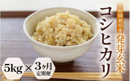 【期間限定】【3ヶ月連続お届け】【令和7年産】発芽玄米 特別栽培米 コシヒカリ 5kg × 3回（計15kg）【米 玄米 こしひかり ギャバ GABA 特別栽培 食物繊維 栄養 真空パック ごはん ご飯 おいしい ふるさと納税米】 [G-2911]