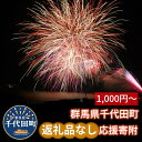 【ふるさと納税】返礼品なしのふるさと納税 千代田町への寄附【1000円～】