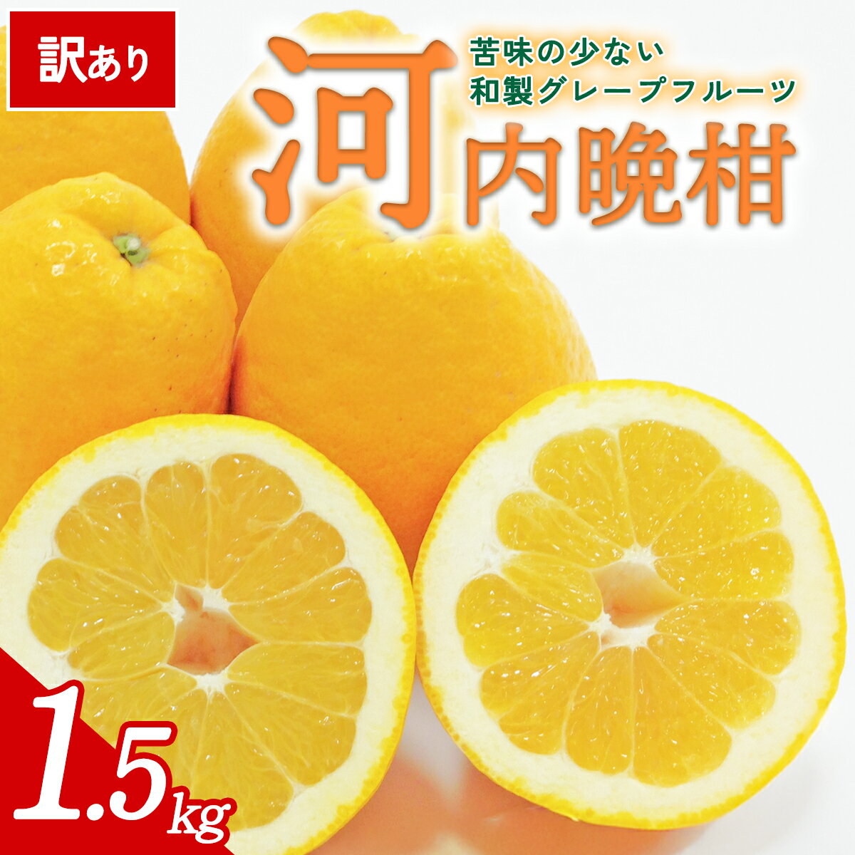 【ふるさと納税】【先行予約】＜訳あり 愛媛県産 河内晩柑 合計約1.5kg＞ 『2026年4月下旬以降順次出荷予定』ばんかん 和製 グレープフルーツ ご家庭用 ご自宅 蜜柑 果肉 果物 柑橘 フルーツ オレンジ 国産 産地直送 ミヤモトオレンジガーデン 愛媛県 西予市【常温】