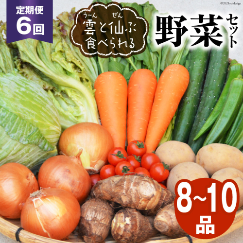 6回 定期便 雲（う～ん）と仙（ぜん）ぶ食べられる 野菜セット 8～10品 [肥前グローカル 長崎県 雲仙市 item2202] 野菜セット 野菜 セット 詰め合わせ