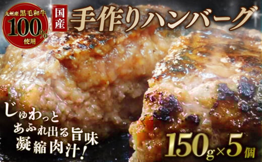 国産 黒毛和牛 ハンバーグ 150g×5個 九州産黒毛和牛100％使用 牛肉 和牛 牛 肉 お肉 おにく 霜降り 手作り 簡単調理 冷凍 小分け 個包装 お弁当 おかず 夕ご飯 家庭 家庭用 惣菜 お惣菜 料理 調理 人気 おすすめ 京都 八幡 神戸屋商事 肉匠 こしき庵 ふるさと納税