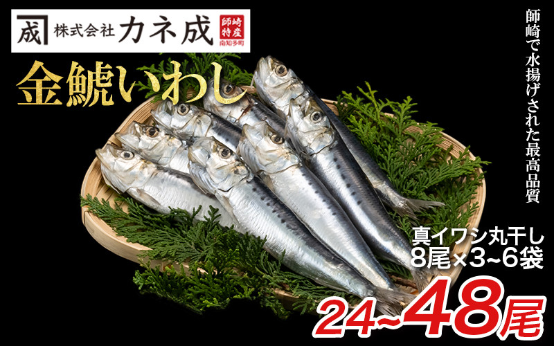 
            いわし 丸干し 冷凍 24～48尾(8尾×3～6袋) 小分け 干物 鰯 イワシ いわし 鰯 イワシ 干物 いわし 鰯 イワシ 干物 いわし 鰯 イワシ 干物 いわし 鰯 イワシ 干物 ご飯のおとも 酒の肴 酒のつまみ 海鮮 ふるさと納税いわし ふるさと納税鰯 ふるさと納税イワシ ふるさと納税干物 ふるさと納税いわし ふるさと納税干物 カネ成 金鯱いわし 愛知県 南知多
          