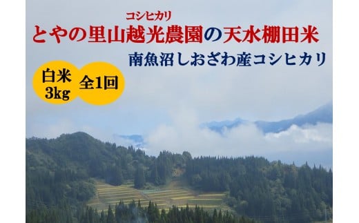 「とやの里山継承プロジェクト対象」【天水棚田米】南魚沼塩沢産コシヒカリ　精米3kg全1回