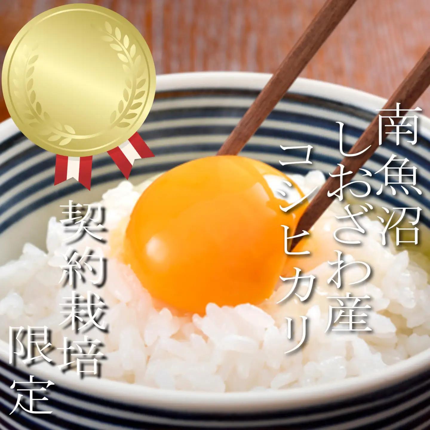 【令和7年】【定期便： 5Kg×12ヶ月】生産者限定 契約栽培 南魚沼しおざわ産コシヒカリ｜こしひかり