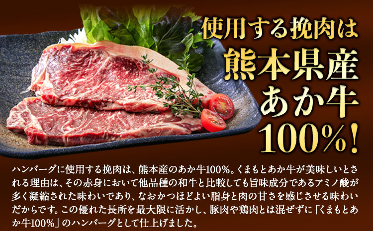 あか牛100% 生ハンバーグ 140g×13個入り 合計1820g ハンバーグ 《30日以内に出荷予定(土日祝除く)》 ---ng_faknham_30d_r8_13000_1820g---