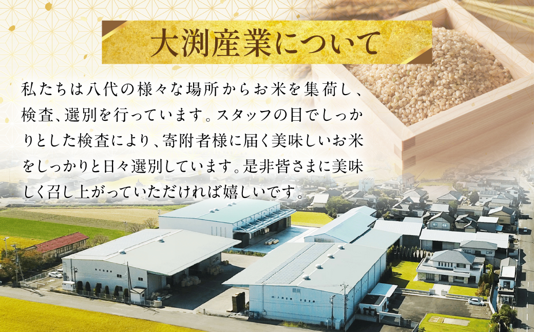 【先行予約】くまさんの輝き 発芽玄米 パックごはん 180g×24個入り 米 お米 コメ 熊本県産 国産 パックご飯 ひとり暮らし 非常食 防災 仕送り 備蓄 【2025年11月下旬より順次発送】