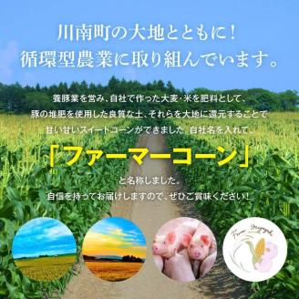 【令和6年発送】宮崎県産とうもろこし (有)ファーマー宮崎 ファーマーコーン「ゴールドラッシュ 」12〜13本 宮崎県産スイートコーン【 とうもろこし 2024年発送 トウモロコシ スィートコーン 先