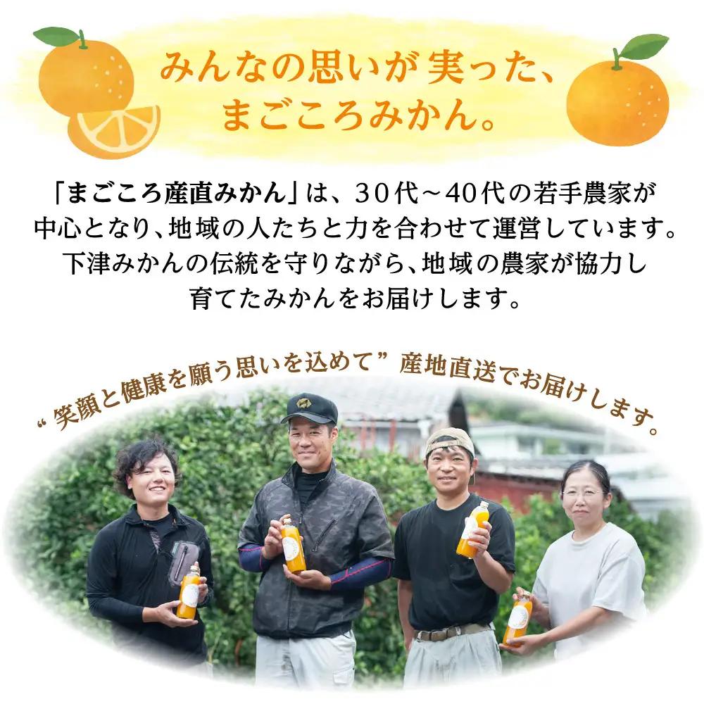訳あり 早生みかん 6.5kg みかん