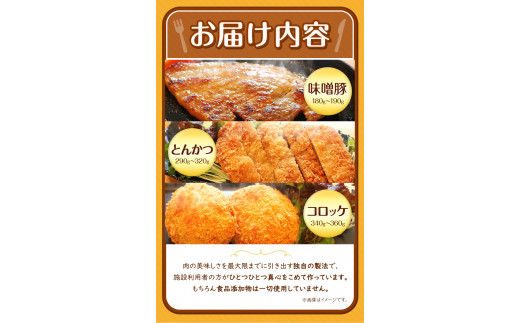 ブランド豚 えころとん使用 合計800g以上 一般社団法人すまいる ワークプレイス絆 《90日以内に出荷予定(土日祝除く)》---so_fkizuna1_90d_22_13500_800g---