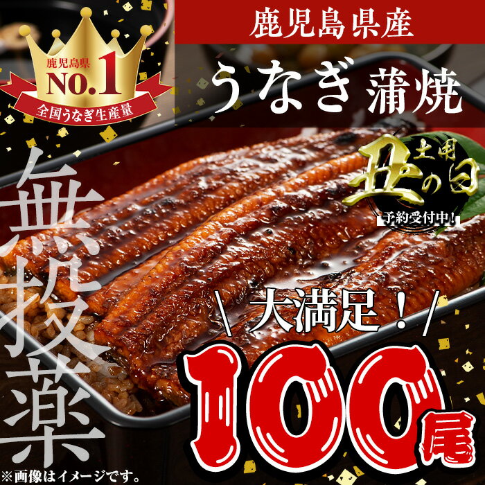 【ふるさと納税】鹿児島県産うなぎ蒲焼 (1尾あたり136g～155g×100尾、タレ・山椒付き) 鰻 ウナギ うな重 ひつまぶし かばやき 九州産 国産 冷凍 【西日本養鰻】