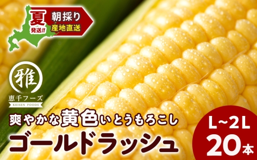 【2027年夏発送】 とうもろこし ゴールドラッシュ L～2L 20本