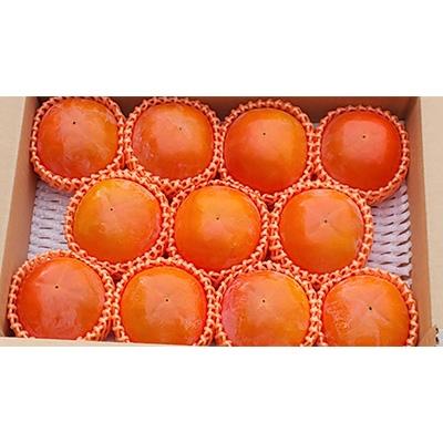 ふるさと納税 朝倉市 朝倉杷木志波の富有柿　3kg(2Lサイズ　10〜12個入) |  | 01