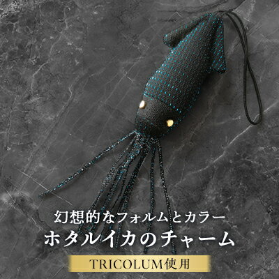 【ふるさと納税】ホタルイカのチャーム【1499815】