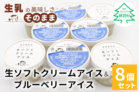 搾りたて生乳使用！ 生ソフトクリームアイス＆ブルーベリーアイス 8個セット アイスクリーム 5000円