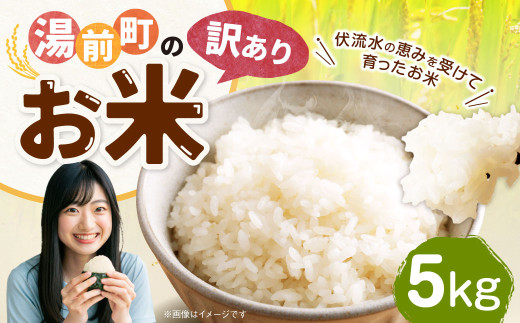 「訳あり」湯前町のお米 5kg 米 お米 ご飯 ごはん 白米 精米 1袋 訳あり 訳アリ 熊本県 湯前町【2026年10月下旬-2027年10月下旬発送】