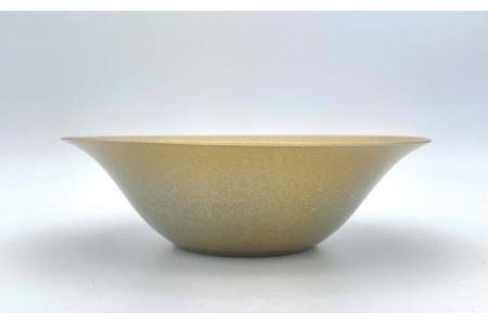 No.195 中鉢 磁器製