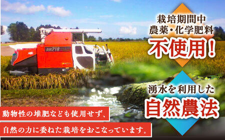 【自然農法で育てた玄米】令和5年産 ヒノヒカリ 玄米 6kg（3kg×2袋）棚田米 /永尾 忠則 [UAS006] 玄米 栽培期間中農薬不使用 特別栽培米 棚田米 棚田玄米 米 お米 玄米 玄米ヒノヒ