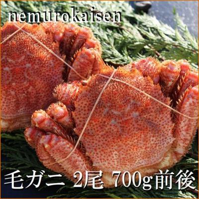 ふるさと納税 根室市 【北海道根室産】毛がに2尾(計700g前後) C-57056