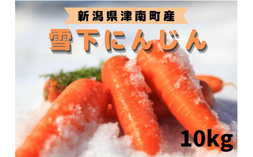 
【季節限定】雪国ならではの逸品！津南町の雪下にんじん（１０ｋｇ）
