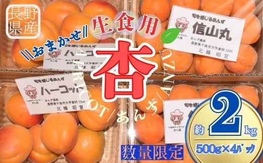 【2026年先行予約】あんず おまかせ生食用(ハーコット・信山丸・おひさまコット・ニコニコット) 計約2kg| 杏子 アンズ アプリコット 信州 長野県 千曲市