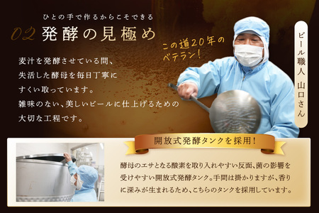 京都 丹後のクラフトビール 6缶セット TANGO KINGDOM Beer 6種 （350ml×6本）