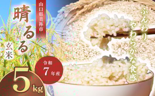 令和7年度産 新米 晴るる 玄米 5kg 先行予約 ＜ 2025年10月～より順次発送予定 ＞ ｜ 米 精米 新米 玄米 米 雑穀 お米 コメ 単一米 晴るる はるる  山口 美祢 秋吉台 5kg