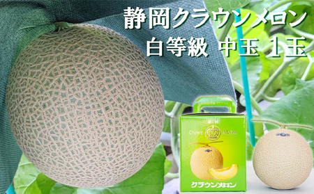 クラウンメロン マスクメロン 並 白等級 中玉 クラウンメロン【約1.3kg 1玉】