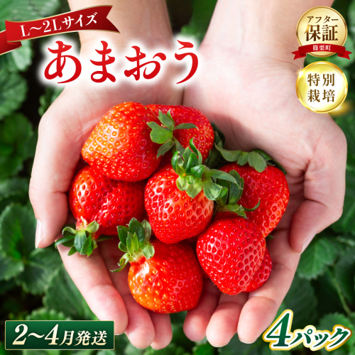 いちご 福岡県産 特別栽培 あまおう L～2Lサイズ（少し小ぶりサイズ）約1140g（約285g×4パック）【2～4月発送】 | 農園直送 アフター保証 先行予約 福岡産 送料無料 ケーキ ギフト お祝い 限定 季節限定 UN004