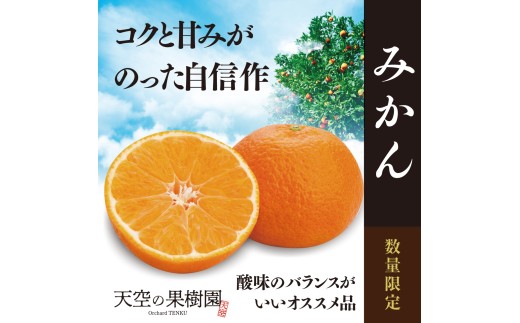 【先行受付】天空の果樹園から届くそらみかん (5.5kg)＞【95-17】【1758584】 YWTAQ016