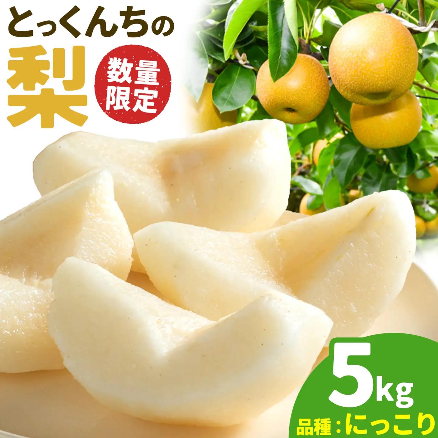 とっくんちの梨にっこり5kg《9月下旬-10月中旬頃出荷》梨【配送不可地域あり】