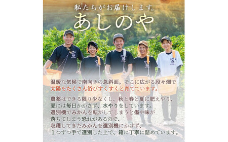 【2027年先行予約】和歌山県産 有田の八朔 (はっさく) 約10kg【L～2Lサイズ混合】まごころ手選別 _ZE6153n