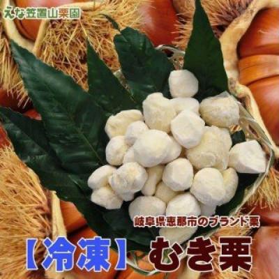ふるさと納税 恵那市 冷凍むき栗　えな笠置山栗園産日本栗　250g×2パック