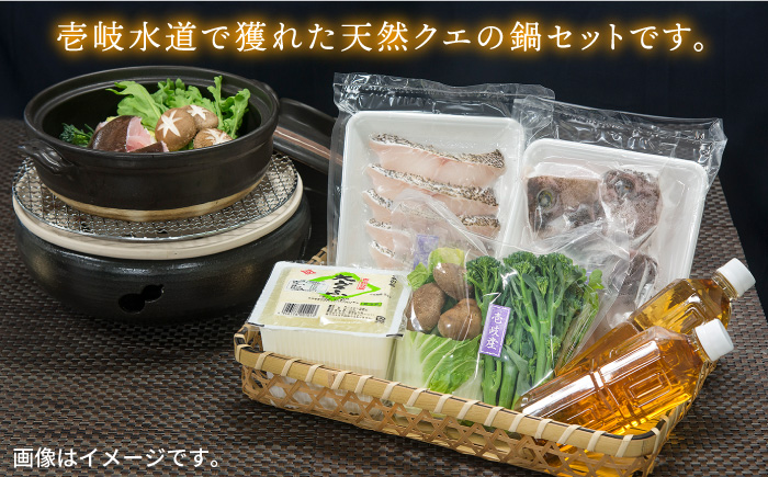 クエ 鍋 天然クエの鍋セット 《壱岐市》【一支國屋】[JCC001] 27000 27000円