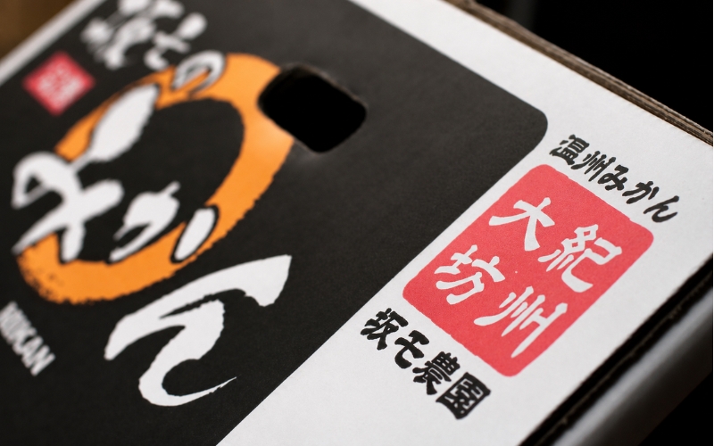 木成完熟越冬葉付みかん SM混合 3kg大坊 / 田辺市 温州みかん みかん 大坊みかん 坂も農園 フルーツ【sme010】