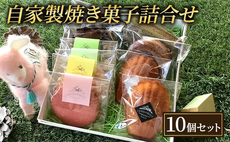 焼き菓子詰合せ レセンシエル マドレーヌ フィナンシェ 焼き菓子詰合せ【10個】