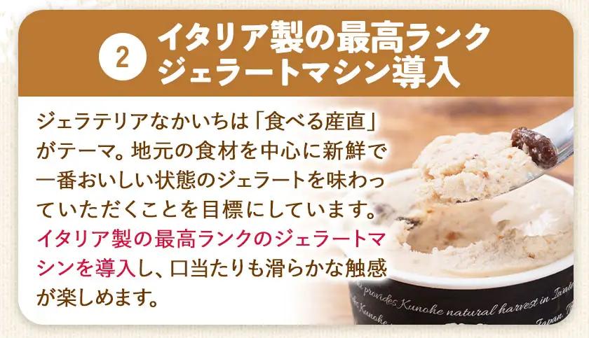 ジェラート 6種 詰め合わせ 計6個 GELATERIA NAKAICHI