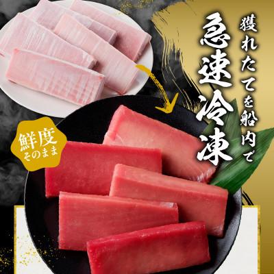 ふるさと納税 泉佐野市 キハダマグロ 合計 1kg 柵 5-7本 冷凍まぐろ 訳あり サイズ不揃い 015B291 |  | 02
