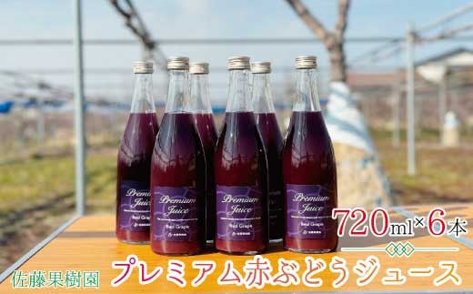 [No.5657-3908]プレミアム赤ぶどうジュース（720ml×6本）《佐藤果樹園》