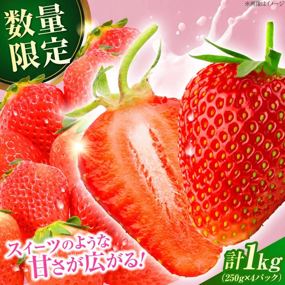 ベリーツ 【先行予約】ベリーツ  約250g×4 ARET010 いちご