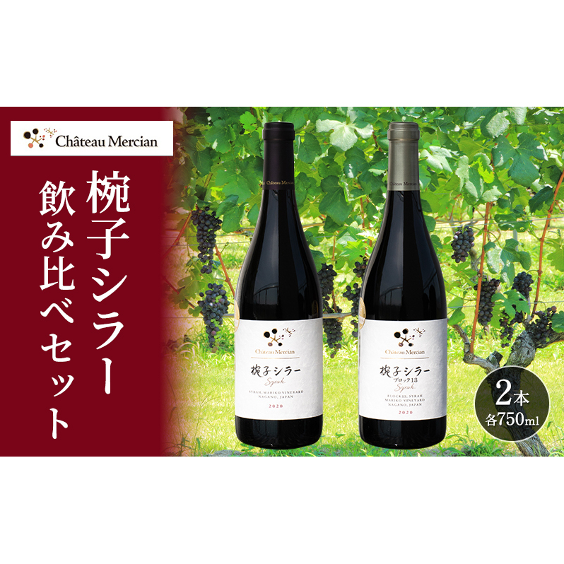 赤ワイン 飲み比べセット 750ml 2本セット 椀子シラー ギフト シャトーメルシャン椀子ワイナリー シャトーメルシャン ワイン お酒 酒 アルコール 家飲み 宅飲み お祝い 記念日 飲み比べ セット 贈り物 プレゼント 信州 長野 長野県 上田市