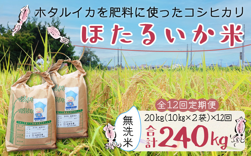 
                  【訳あり】ほたるいか米（無洗米20kg）×12回 計240kg【12ヶ月定期便】令和7年産 訳あり 米 コシヒカリ こしひかり 頒布会 産直 ほたるいか ホタルイカ お米 ブランド米 富山 滑川 農家直送 お米 おこめ こしひかり ホタルイカ 蛍烏賊 富山県 滑川市 コンシェルジュ 訳あり　kome 20キロ ごはん おにぎり 手軽 時短
                