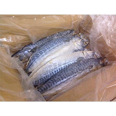 ふるさと納税 神栖市 【毎月定期便】【訳あり】規格外　さば文化干し　1.9kg全4回 |  | 02